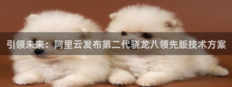 优发国际平台u8