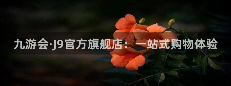 u8国际网站