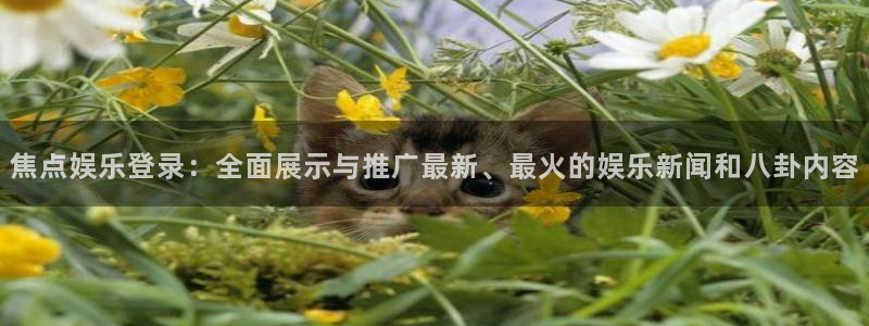 u8国际是什么：焦点娱乐登录：全面展示与推广最新、最火的娱乐新闻和八卦内容