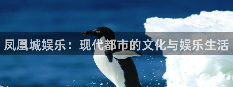 u8国际：凤凰城娱乐：现代都市的文化与娱乐生活