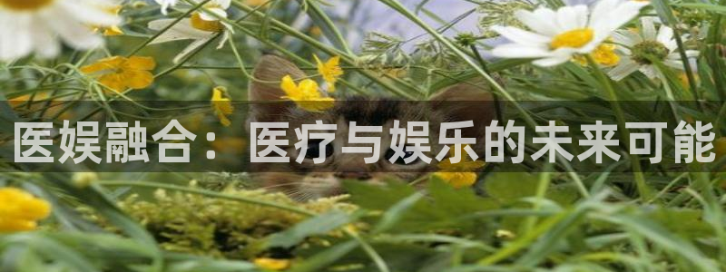优发国际平台u8：医娱融合：医疗与娱乐的未来可能