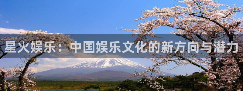 u8国际官网：星火娱乐：中国娱乐文化的新方向与潜力