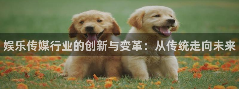 u8国际官网：娱乐传媒行业的创新与变革：从传统走向未来