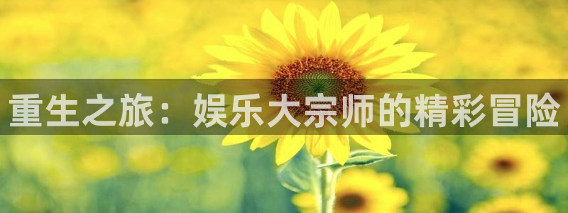 U8国际官网：重生之旅：娱乐大宗师的精彩冒险