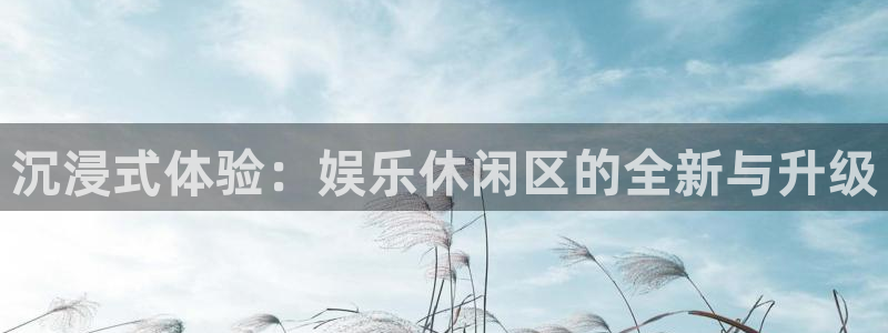 u8国际界面视觉重构.活动专区.中国：沉浸式体验：娱乐休闲区的全新与升级
