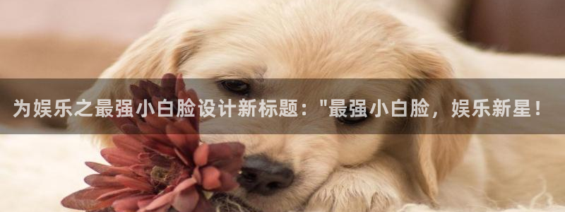 u8国际网站前言：为娱乐之最强小白脸设计新标题：\