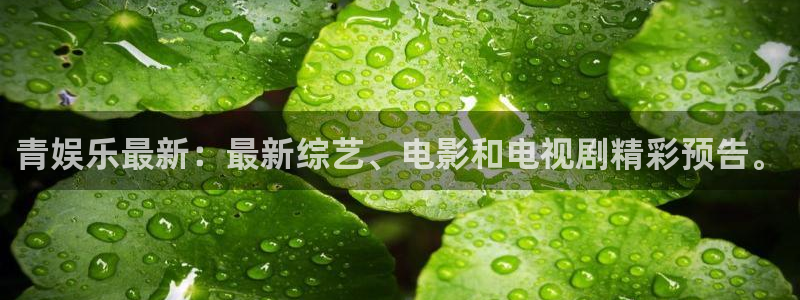 u8国际网站：青娱乐最新：最新综艺、电影和电视剧精彩预告。