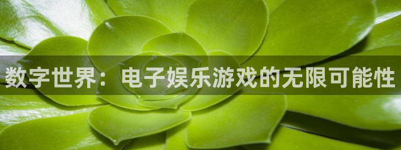 u8国际：数字世界：电子娱乐游戏的无限可能性