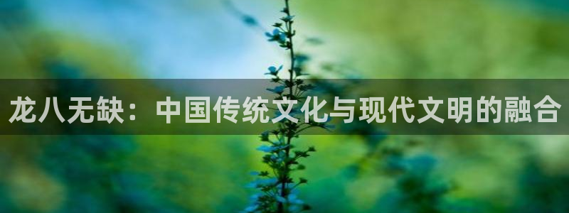 u8国际集团引商：龙八无缺：中国传统文化与现代文明的融合