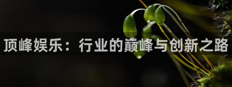 u8国际设计焕新上线.页面浏览.中国：顶峰娱乐：行业的巅峰与创新之路