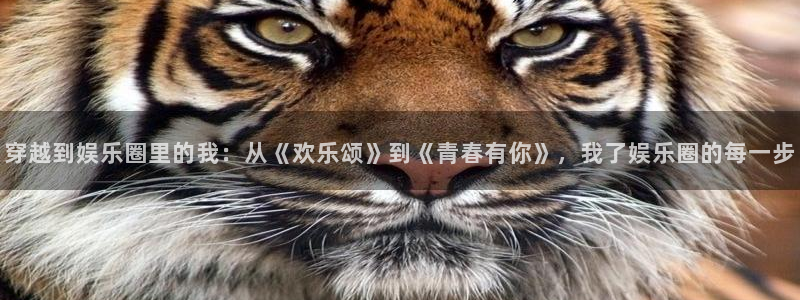 u8娱乐官网入口：穿越到娱乐圈里的我：从《欢乐颂》到《青春有你》，我了娱乐圈的每一步