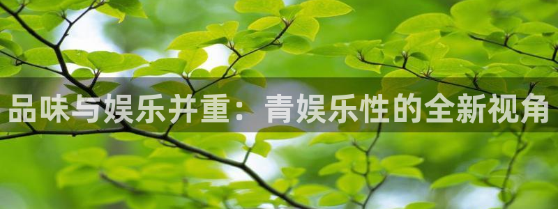 u8国际网站特惠活动上线.游戏新版更新.中国：品味与娱乐并重：青娱乐性的全新视角