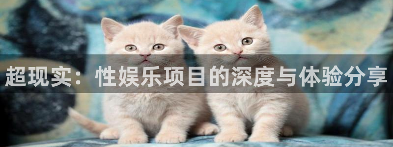 u8国际设计焕新上线.页面浏览.中国：超现实：性娱乐项目的深度与体验分享