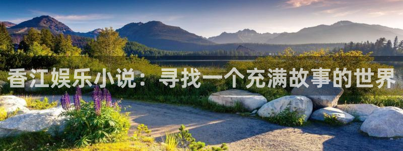 u8国际网站前言：香江娱乐小说：寻找一个充满故事的世界