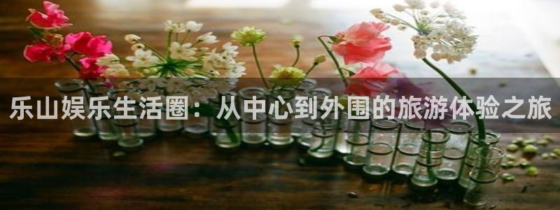 u8国际网站特惠活动上线.游戏新版更新.中国：乐山娱乐生活圈：从中心到外围的旅游体验之旅