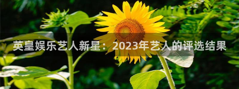 u8国际登录网址：英皇娱乐艺人新星：2023年艺人的评选结果