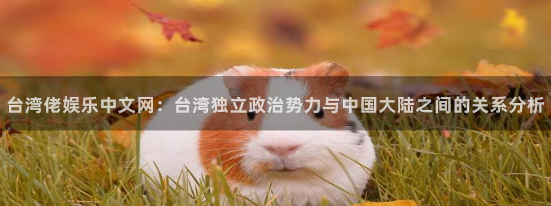 u8是什么意思：台湾佬娱乐中文网：台湾独立政治势力与中国大陆之间的关系分析