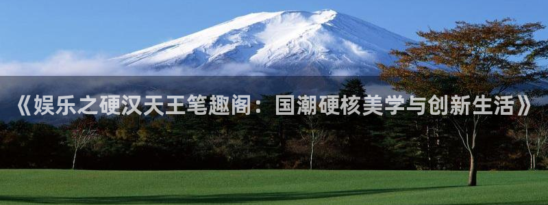 u8国际官网：《娱乐之硬汉天王笔趣阁：国潮硬核美学与创新生活》