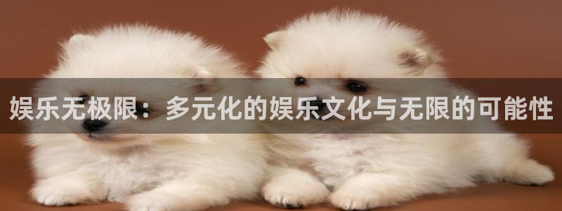 u8国际是什么：娱乐无极限：多元化的娱乐文化与无限的可能性