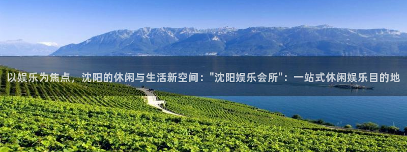 u8国际集团：以娱乐为焦点，沈阳的休闲与生活新空间：\