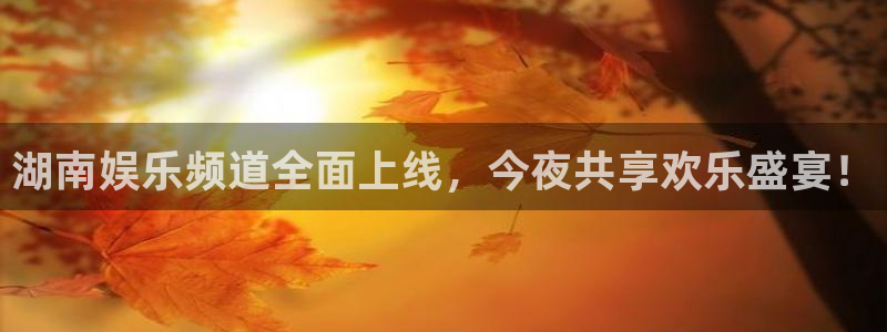 u8国际：湖南娱乐频道全面上线，今夜共享欢乐盛宴！