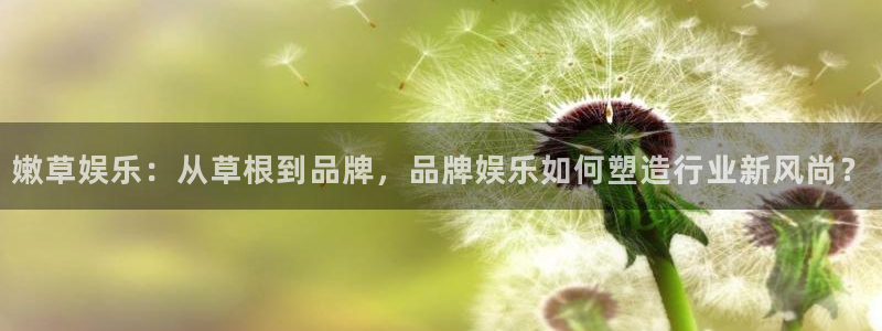 u8国际平台