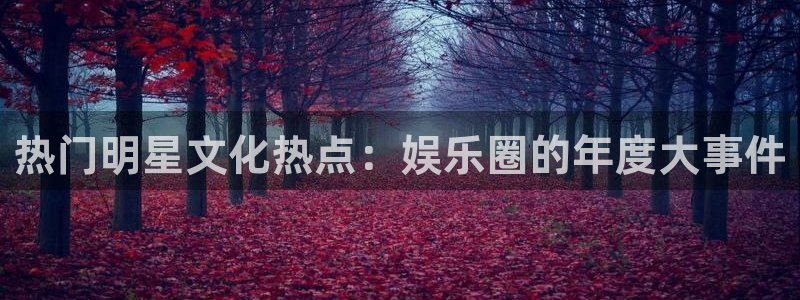 U8国际官网：热门明星文化热点：娱乐圈的年度大事件