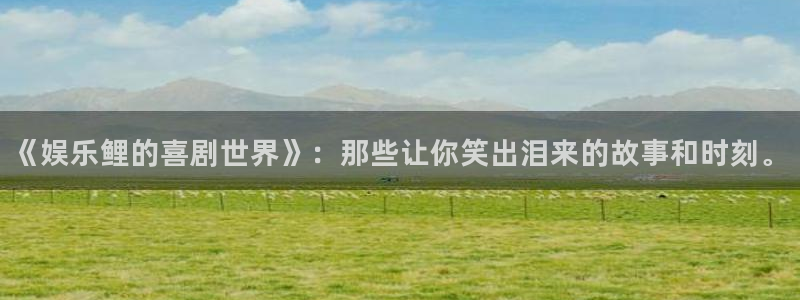 u8国际设计焕新上线.页面浏览.中国：《娱乐鲤的喜剧世界》：那些让你笑出泪来的故事和时刻。