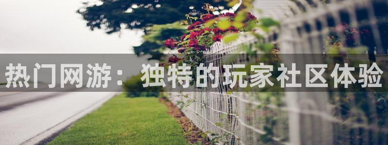 u8国际平台：热门网游：独特的玩家社区体验