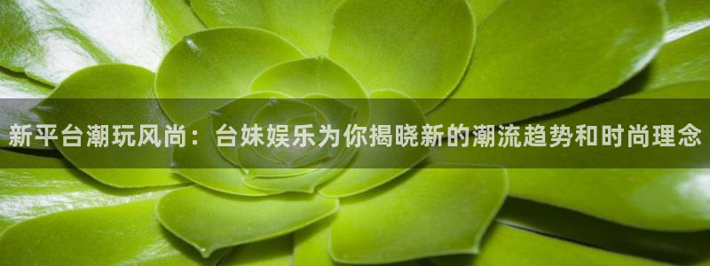U8国际官网：新平台潮玩风尚：台妹娱乐为你揭晓新的潮流趋势和时尚理念