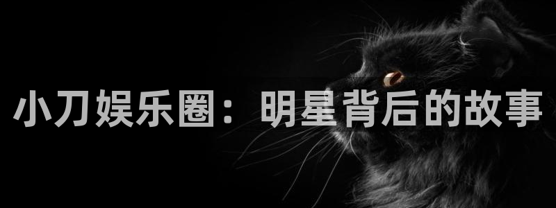 u8国际网站：小刀娱乐圈：明星背后的故事
