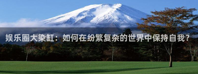 u8国际界面申领：娱乐圈大染缸：如何在纷繁复杂的世界中保持自我？